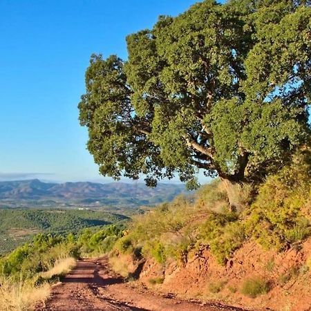Апартаменты Piso Sierra Calderona A 15 Minutos Del Mar Estivella Экстерьер фото